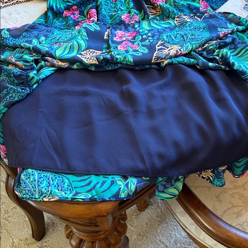 Lilly Pulitzer 👗Dress👗 - Picture 6 of 8